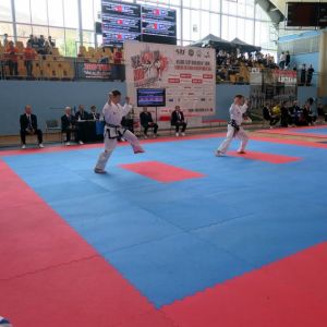 ceska narodniunie taekwondo european championship maribor 2018