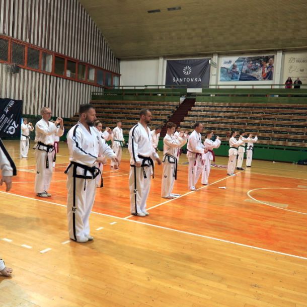 2024 seminar ung kim lan