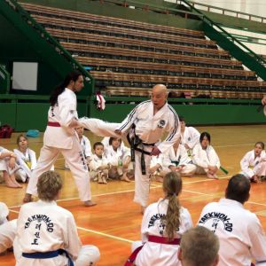 2024 seminar ung kim lan